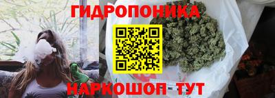 молекула духа Будённовск