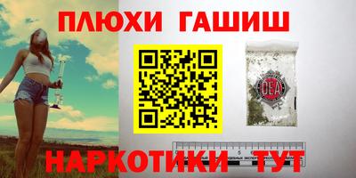 молекула духа Будённовск