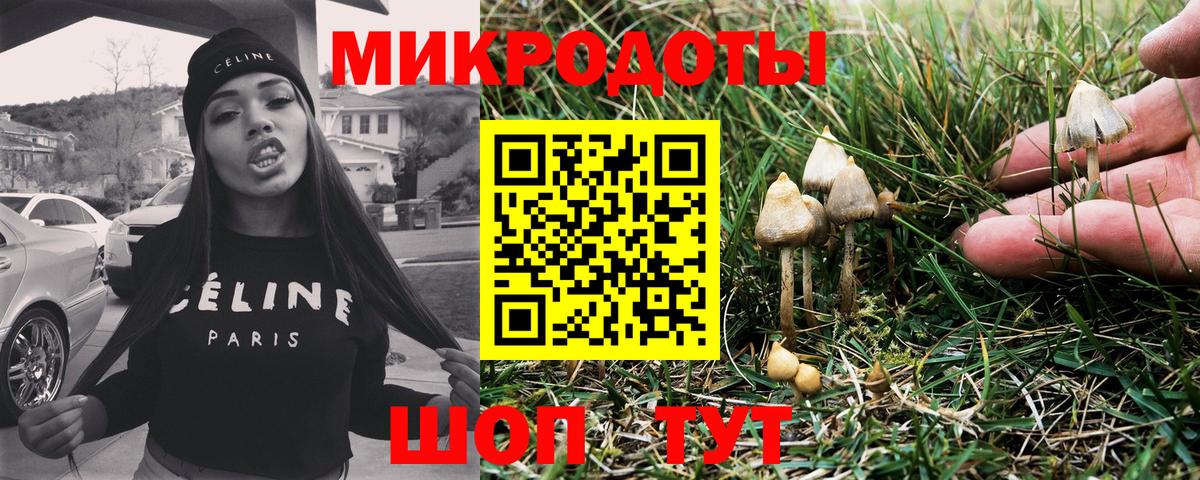 Псилоцибиновые грибы MAGIC MUSHROOMS  Псилоцибиновые грибы Psilocybe  сколько стоит  Чита  Вход с VPN 