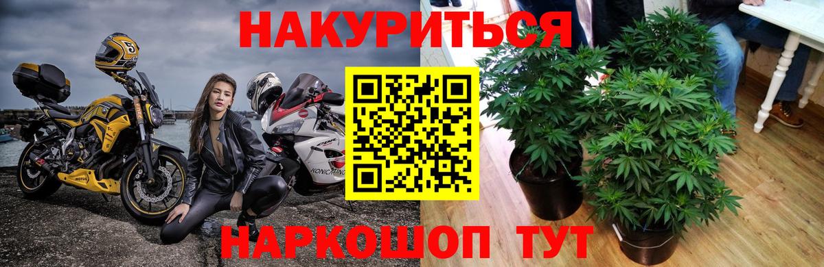 Чита  Марихуана Bruce Banner  Бошки марихуана тримм  Каннабис Amnesia  Вход с VPN 